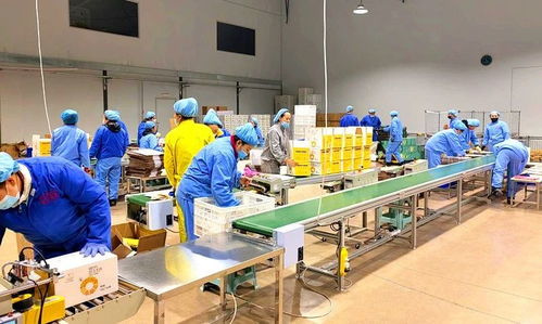 安图经济开发区医药食品产业园一季度实现 开门红